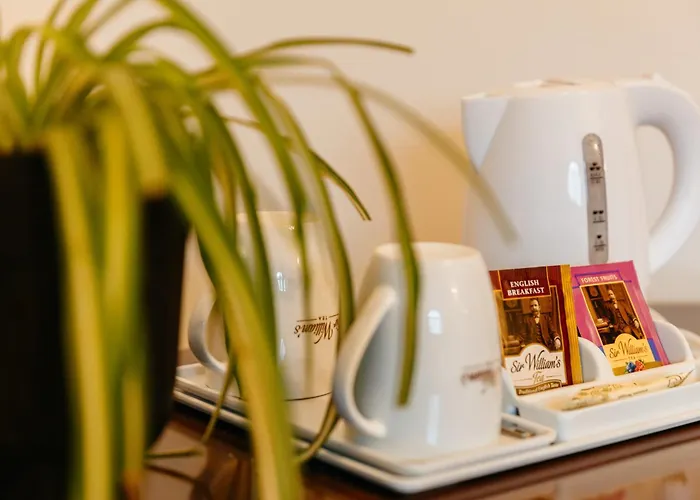 Nova.galicja 新松奇