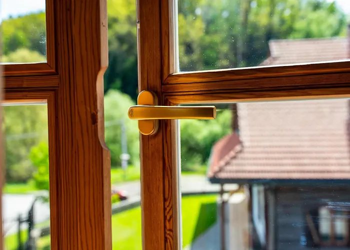 Nova.galicja 新松奇