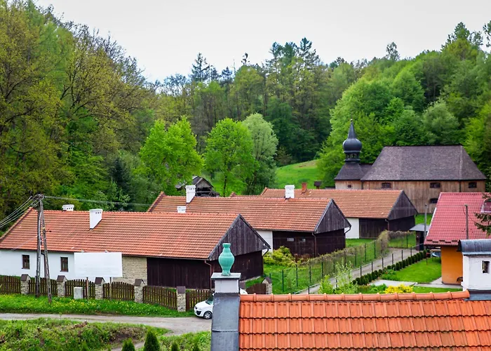 Nova.galicja 新松奇